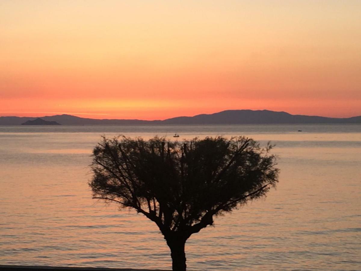 Studio Rio Marina Sul Mare Ac Διαμέρισμα Εξωτερικό φωτογραφία
